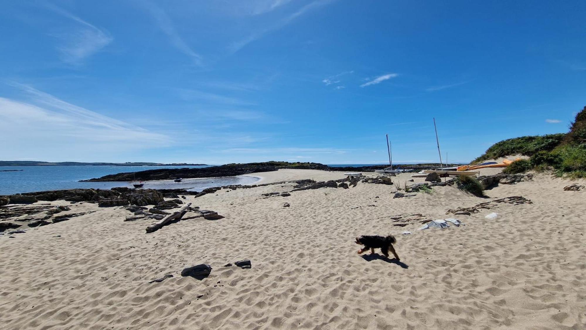 Nordlys Cottage Newton Stewart Ngoại thất bức ảnh