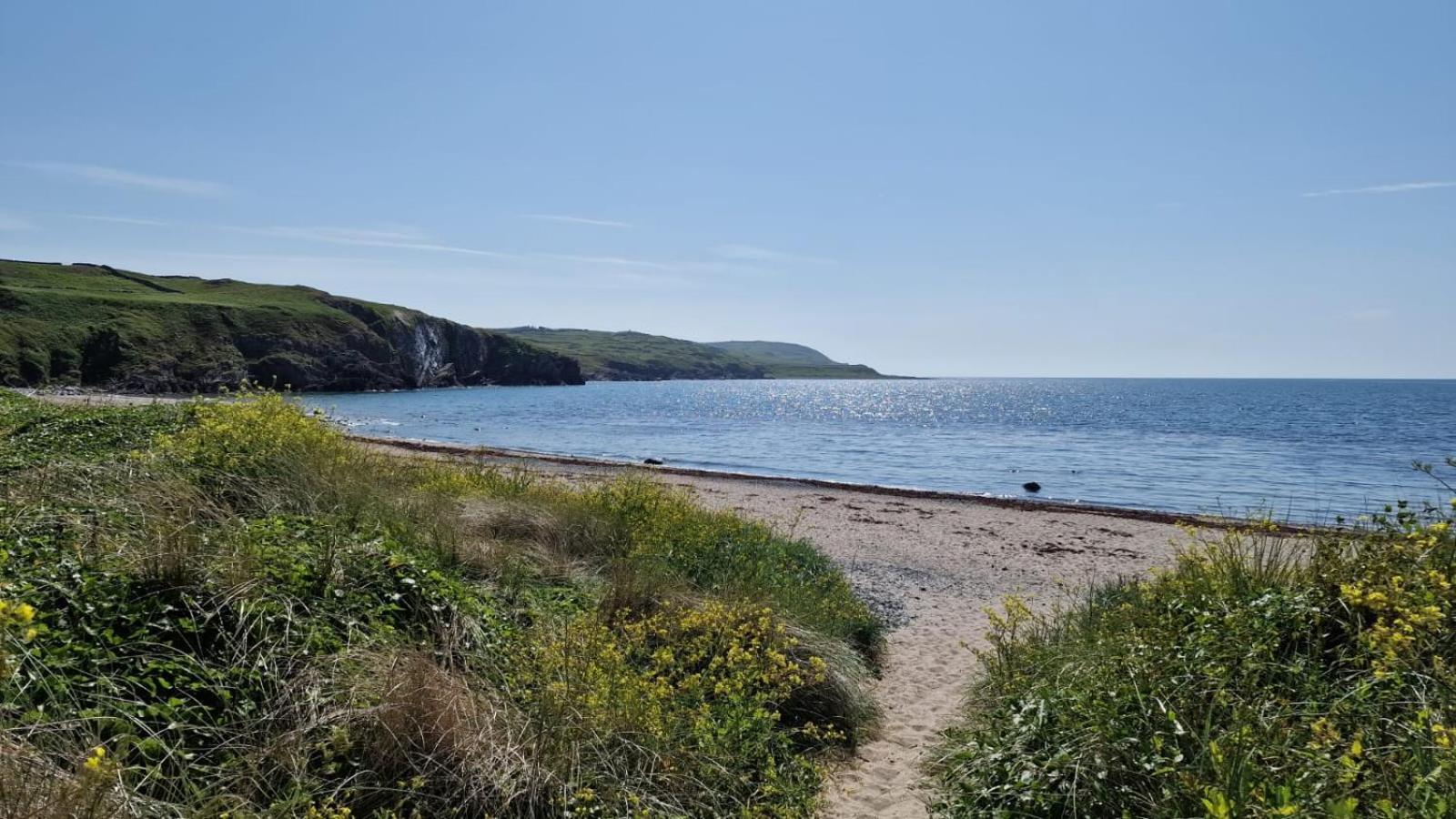 Nordlys Cottage Newton Stewart Ngoại thất bức ảnh