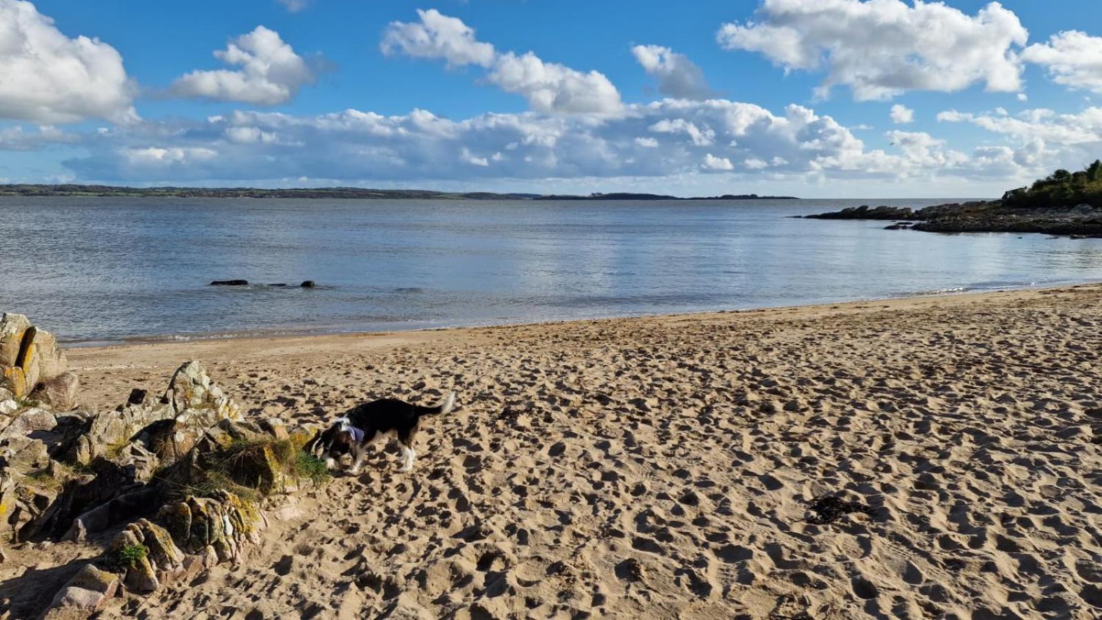 Nordlys Cottage Newton Stewart Ngoại thất bức ảnh