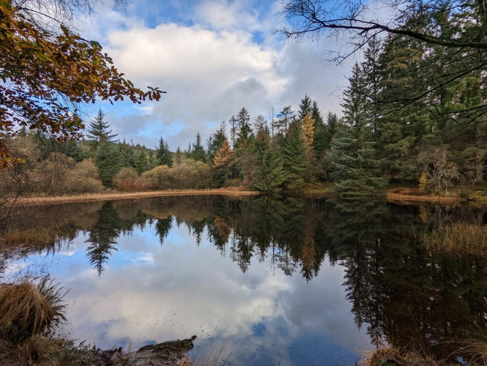 Nordlys Cottage Newton Stewart Ngoại thất bức ảnh