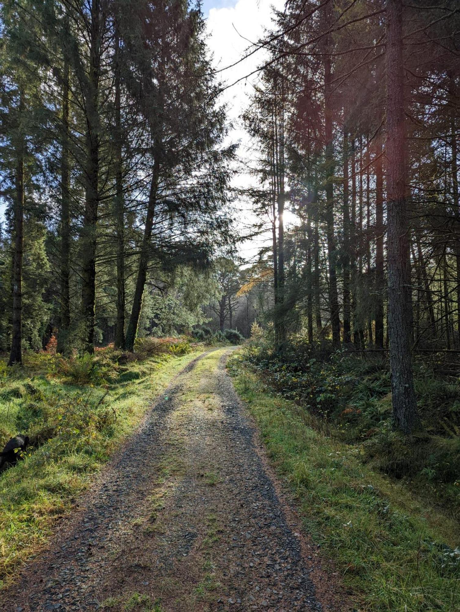 Nordlys Cottage Newton Stewart Ngoại thất bức ảnh