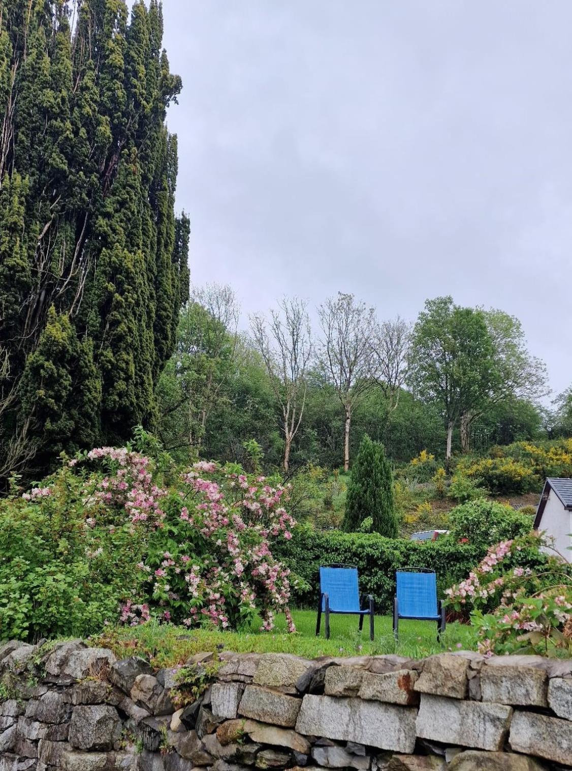 Nordlys Cottage Newton Stewart Ngoại thất bức ảnh