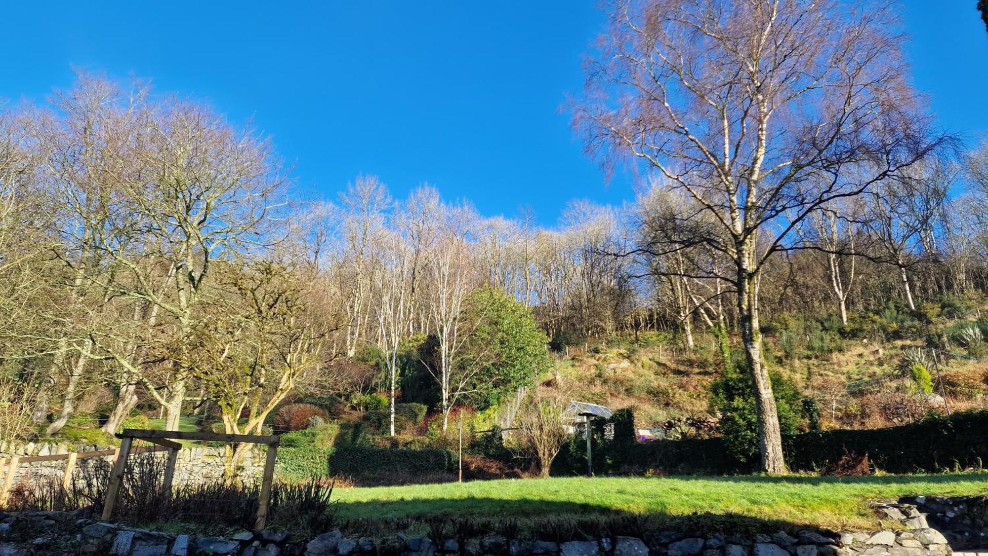 Nordlys Cottage Newton Stewart Ngoại thất bức ảnh